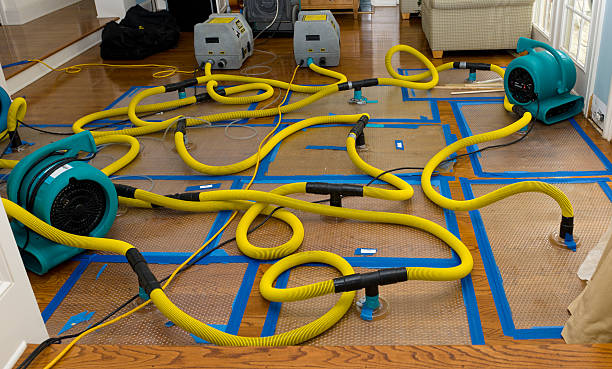Professional Water Extraction technician working in Oberlin, OH